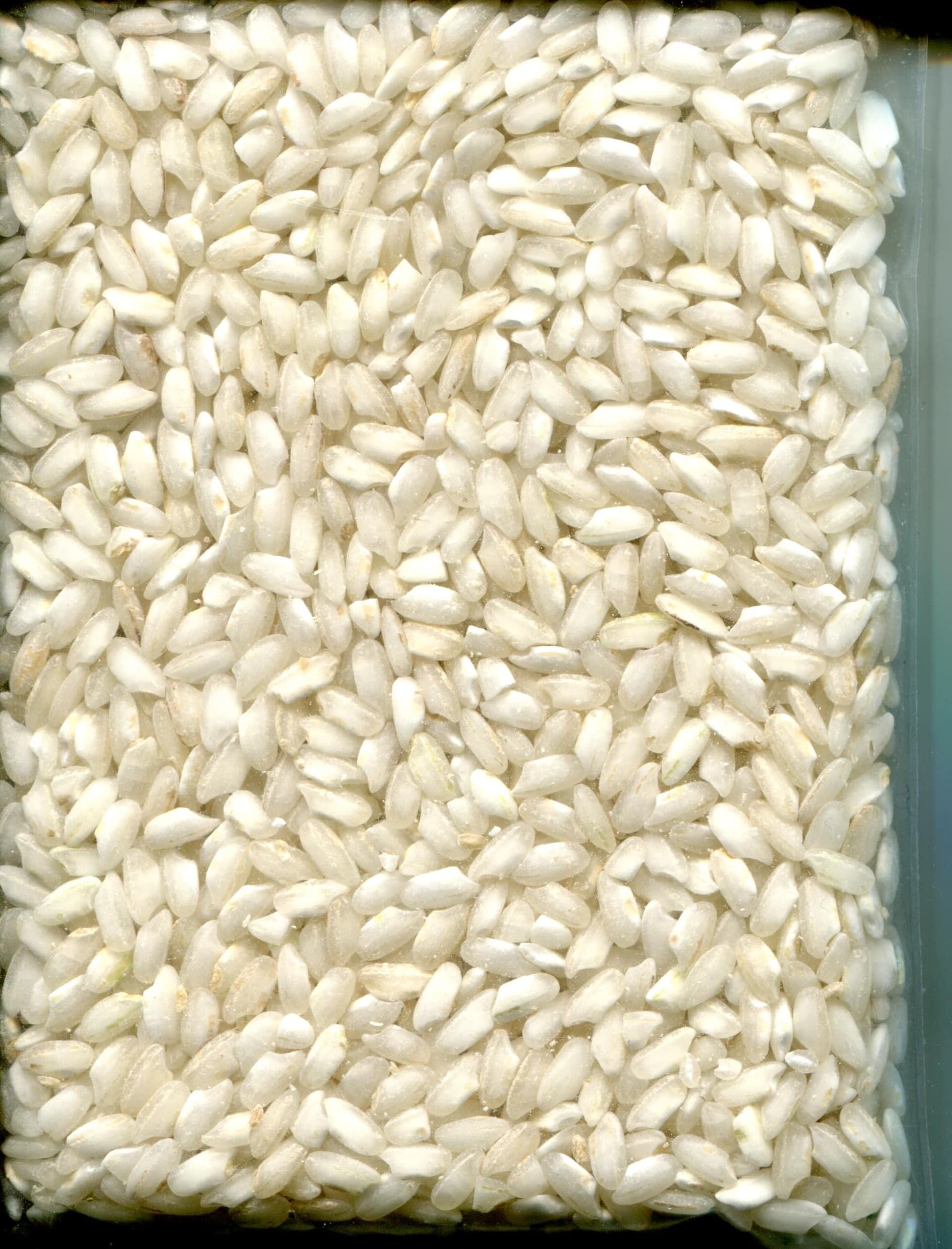 CARNAROLI RICE | Tavola Italia
